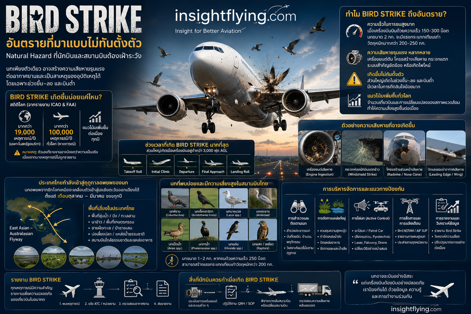 Bird strike ความเสียหายและแนวทางป้องกัน